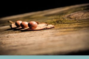 Practical obstetrics info for your women's healthcare practice