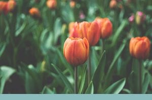 Practical obstetrics info for your women's healthcare practice