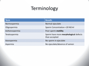 Sperm Cell Terminology