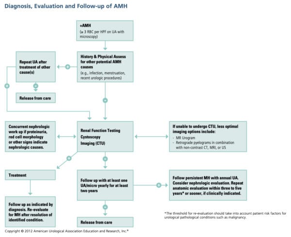 Asymptomatic-Microhematuria-Algorithm - The ObG Project